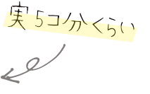 実5コ分くらい